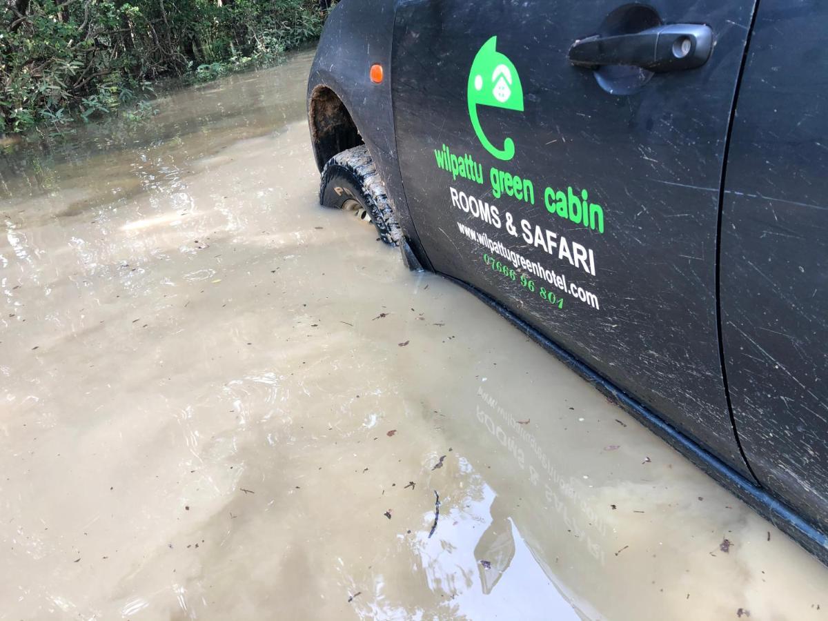 Wilpattu Green Cabin Achchamulai Ngoại thất bức ảnh