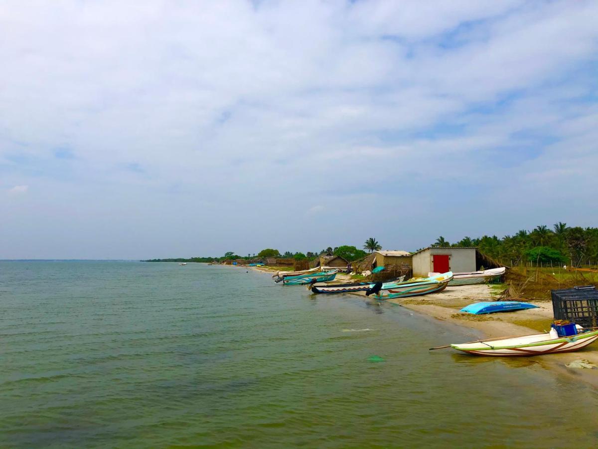 Wilpattu Green Cabin Achchamulai Ngoại thất bức ảnh