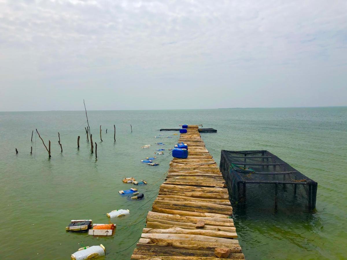 Wilpattu Green Cabin Achchamulai Ngoại thất bức ảnh