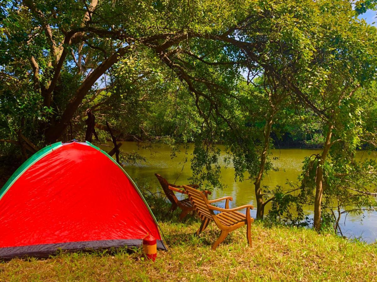Wilpattu Green Cabin Achchamulai Ngoại thất bức ảnh