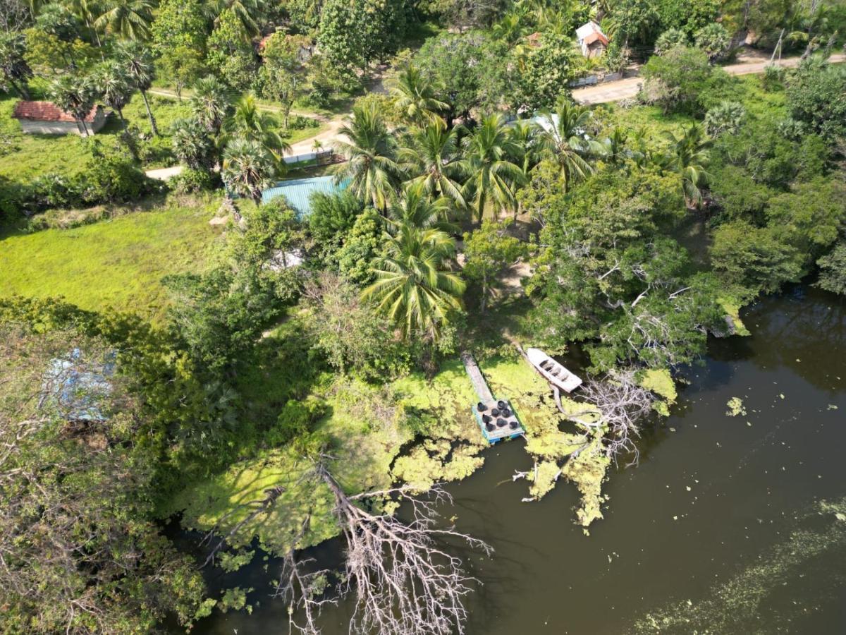 Wilpattu Green Cabin Achchamulai Ngoại thất bức ảnh