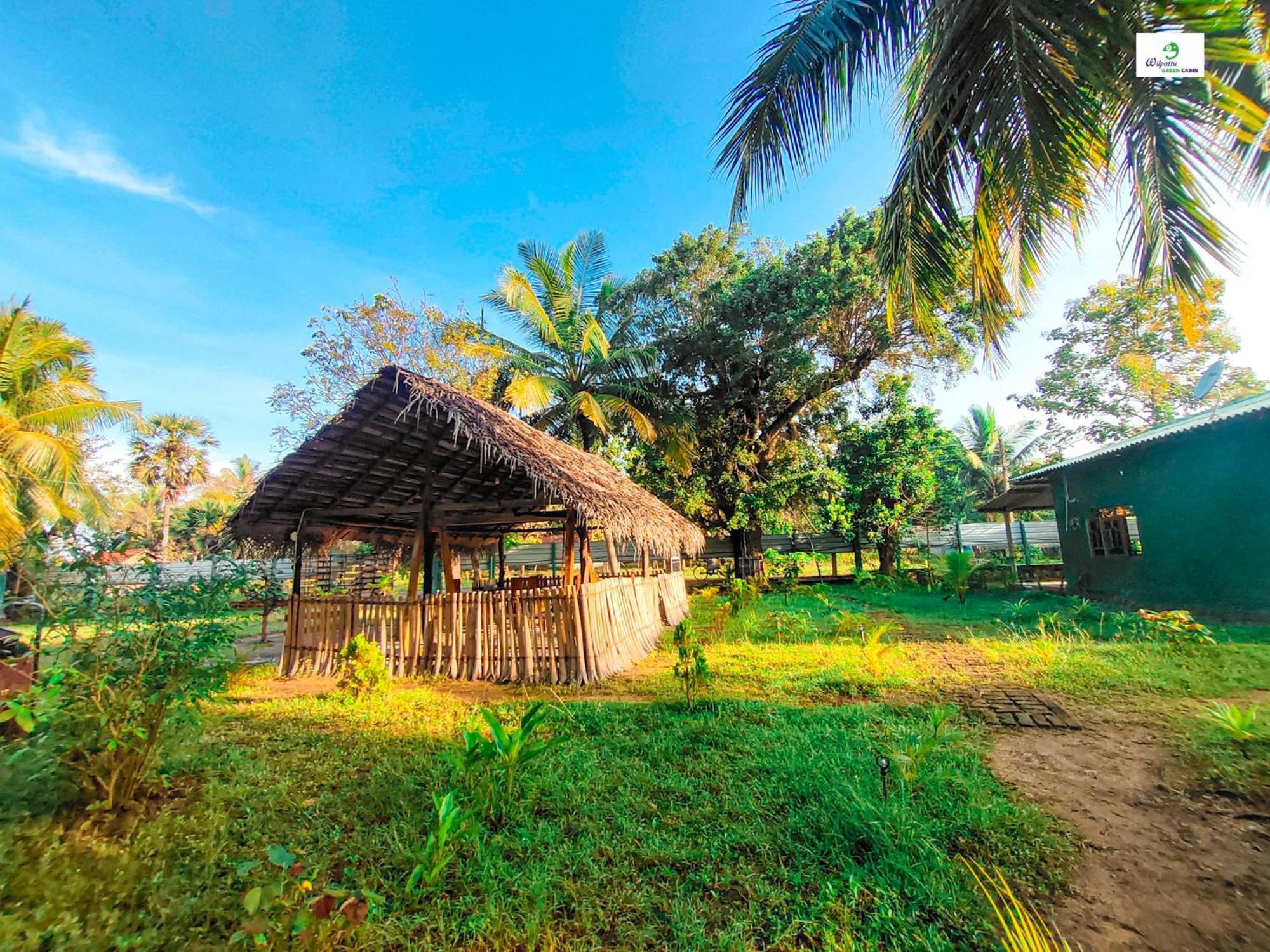 Wilpattu Green Cabin Achchamulai Ngoại thất bức ảnh
